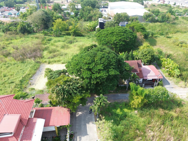 ขายที่ดิน เลียบคลองประปา ชุมชนบ้านใหม่สมานฉันท์6 85.8 ตร.วา ทำเลศักยภาพใกล้ทางด่วน โซนศรีสมาน-เมืองทองธานี (ซ.วัดพระแม่ฯ) เหมาะปลูกบ้าน