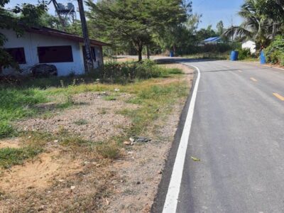 ♨️ขายที่ดินใกล้ มศว.องครักษ์ อยู่ในแหล่งชุมชน อยู่ถนนด้านหลัง มศว.