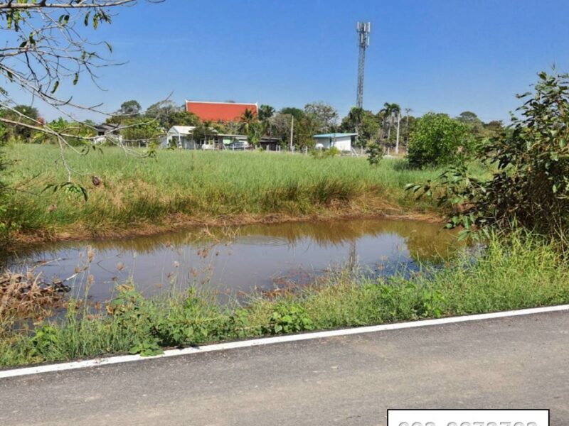 ♨️ขายที่ดินใกล้ มศว.องครักษ์ อยู่ในแหล่งชุมชน อยู่ถนนด้านหลัง มศว.