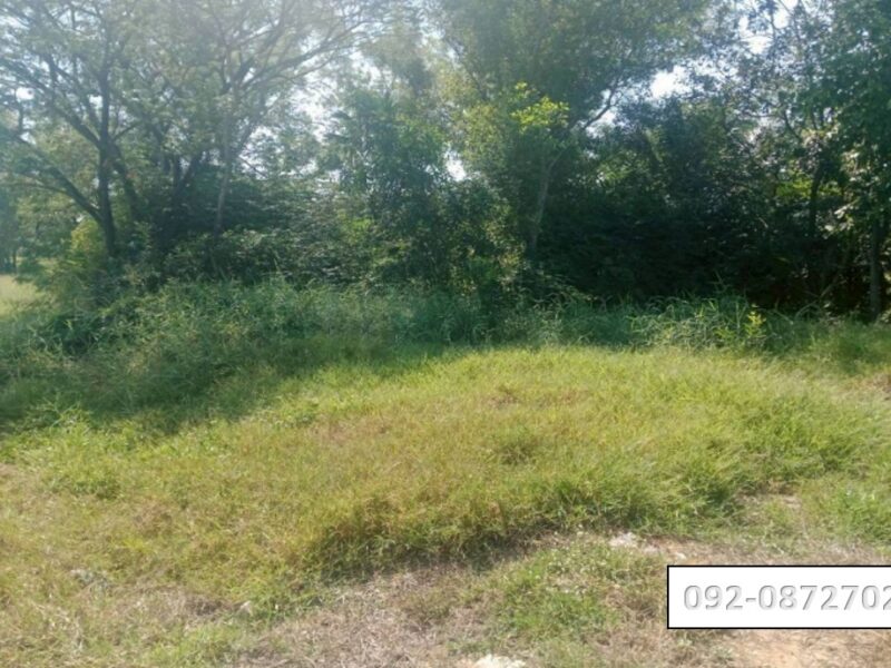 ♨️ขายที่ดินใกล้ มศว.องครักษ์ อยู่ในแหล่งชุมชน อยู่ถนนด้านหลัง มศว.