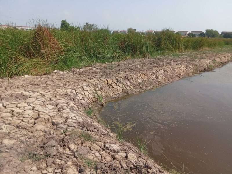 ขายที่ดินเปล่า 2 ไร่ ติดถนนคอนกรีต อยู่ในซอยเทศบาลบางปู 83