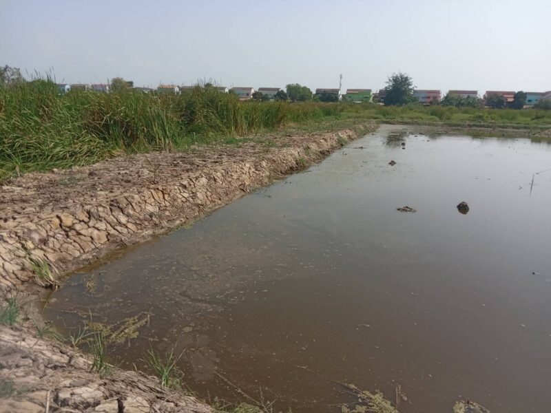 ขายที่ดินเปล่า 2 ไร่ ติดถนนคอนกรีต อยู่ในซอยเทศบาลบางปู 83