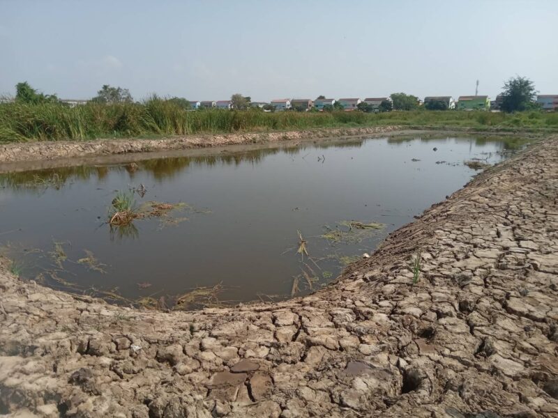 ขายที่ดินเปล่า 2 ไร่ ติดถนนคอนกรีต อยู่ในซอยเทศบาลบางปู 83