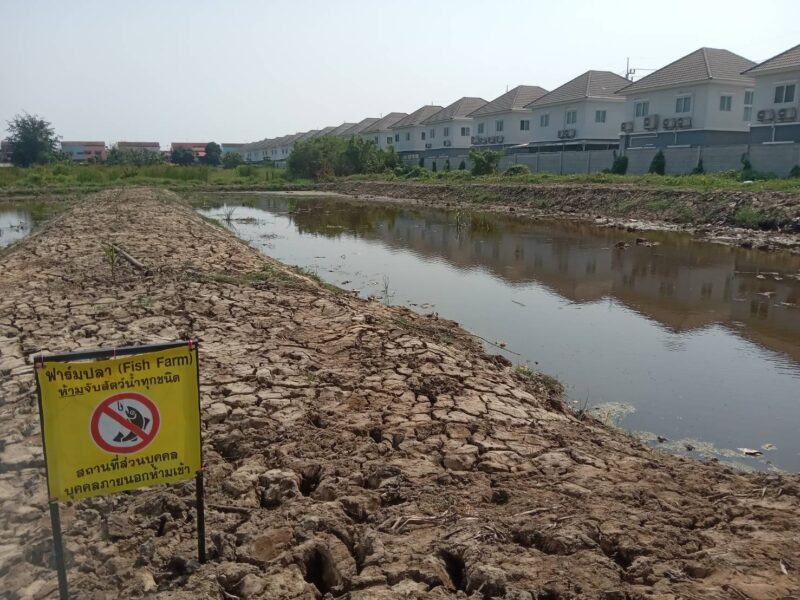 ขายที่ดินเปล่า 2 ไร่ ติดถนนคอนกรีต อยู่ในซอยเทศบาลบางปู 83