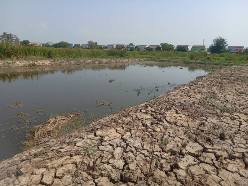 ขายที่ดินเปล่า 2 ไร่ ติดถนนคอนกรีต อยู่ในซอยเทศบาลบางปู 83