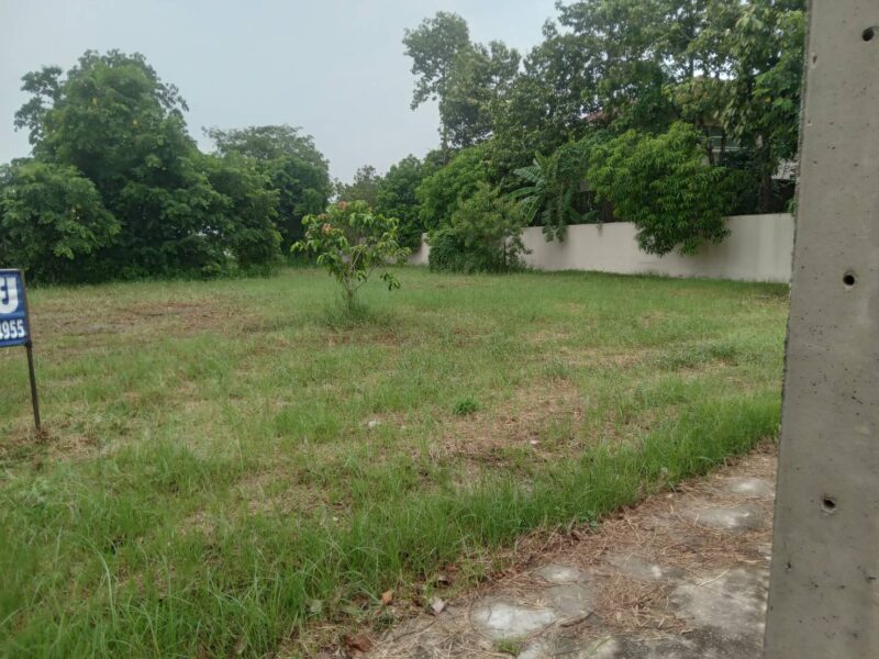 ขายที่ดินเปล่าติดทะเลสาบขนาดใหญ่ พื้นที่ 235 ตารางวา อยู่ในโครงการหมู่บ้านเดอะลากูน 1 สามโคกปทุมธานี