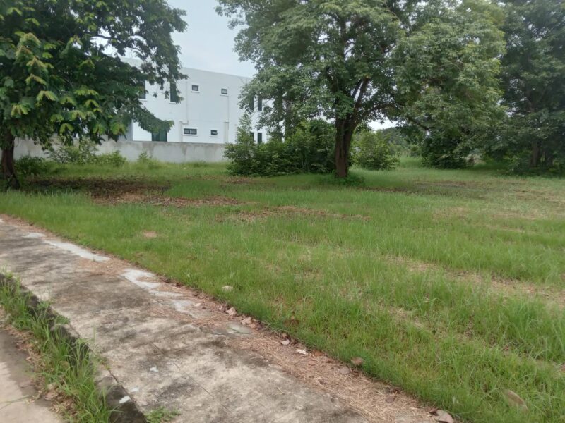 ขายที่ดินเปล่าติดทะเลสาบขนาดใหญ่ พื้นที่ 235 ตารางวา อยู่ในโครงการหมู่บ้านเดอะลากูน 1 สามโคกปทุมธานี