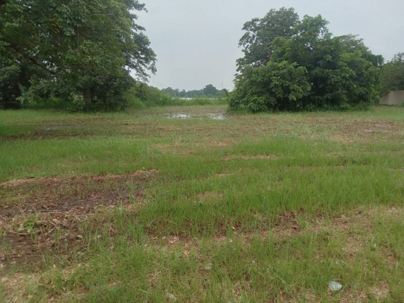 ขายที่ดินเปล่าติดทะเลสาบขนาดใหญ่ พื้นที่ 235 ตารางวา อยู่ในโครงการหมู่บ้านเดอะลากูน 1 สามโคกปทุมธานี