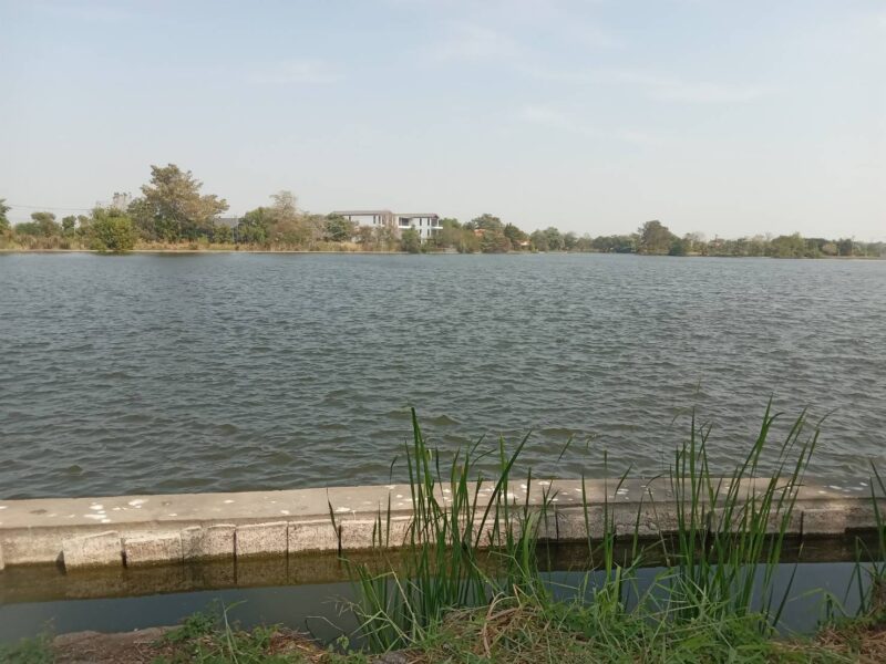 ขายที่ดินเปล่าติดทะเลสาบขนาดใหญ่ พื้นที่ 235 ตารางวา อยู่ในโครงการหมู่บ้านเดอะลากูน 1 สามโคกปทุมธานี