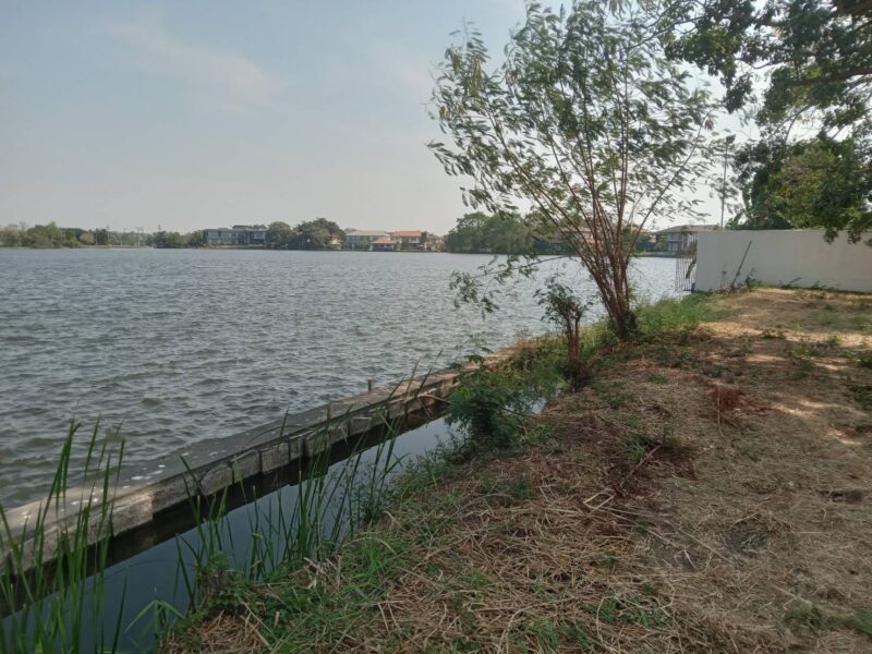 ขายที่ดินเปล่าติดทะเลสาบขนาดใหญ่ พื้นที่ 235 ตารางวา อยู่ในโครงการหมู่บ้านเดอะลากูน 1 สามโคกปทุมธานี