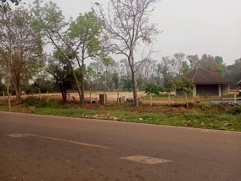 ขายที่ดิน 40 ไร่ 0 งาน 67.5 ตร.ว. ติดถนนหมายเลข 1186 ใกล้กรมทหารพรานที่ 31 พะเยา