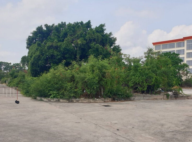 ให้เช่าระยะยาว 6ไร่กว่า รามอินทรา ติดสถานีรถไฟฟ้า สถานีเศรษฐบุตรบำเพ็ญ ไลน์ไอดี @ibx7531n