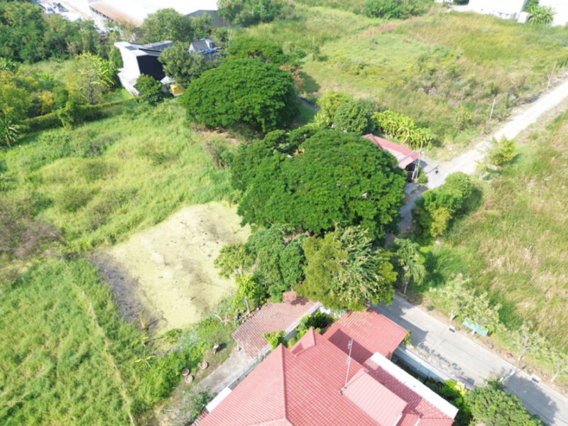 ขายที่ดิน เลียบคลองประปา ชุมชนบ้านใหม่สมานฉันท์6 85.8 ตร.วา ทำเลศักยภาพใกล้ทางด่วน โซนศรีสมาน-เมืองทองธานี (ซ.วัดพระแม่ฯ) เหมาะปลูกบ้าน