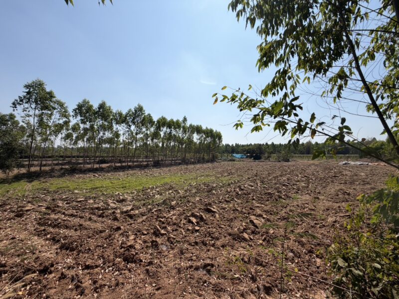 ที่ดินถูกปราจีนบุรี ใกล้เทศบาลกรอกสมบูรณ์ (หลังสนามไดร์ฟกอล์ฟ 304) |ไร่ล่ะ 140,000 บาท ( 51-2-3 ไร่.) ยกแปลง 7.2 ลบ. | ต.กรอกสมบูรณ์ อ.ศรีมหาโพธิ จ.ปราจีนบุรี