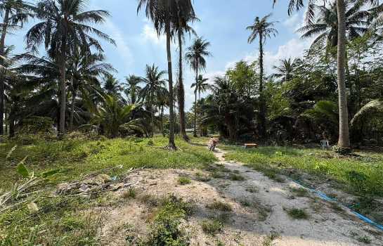 ขายที่ดินพร้อมบ้านสวน 10 ไร่ อ.ชะอำ ใกล้ วิทยาลัยการอาชีพวังไกลกังวล 2