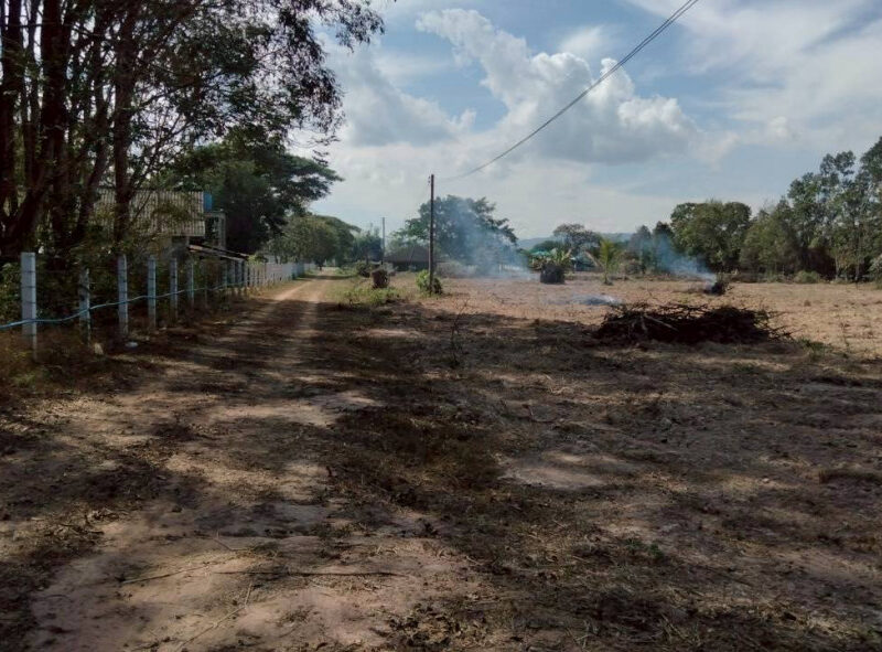 ขายที่ดิน 40 ไร่ 0 งาน 67.5 ตร.ว. ติดถนนหมายเลข 1186 ใกล้กรมทหารพรานที่ 31 พะเยา
