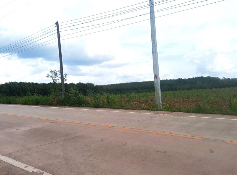 ขาย ที่ดิน ME393 EECม่วงลาย แปลงใหญ่ ห้างสูง หนองใหญ่ ชลบุรี . 156 ไร่ 1 งาน 47 ตรว ใกล้นิคมเอเชียคลีน ท่าเรือแหลมฉบัง ถนน 331 เพียง 9 Km.