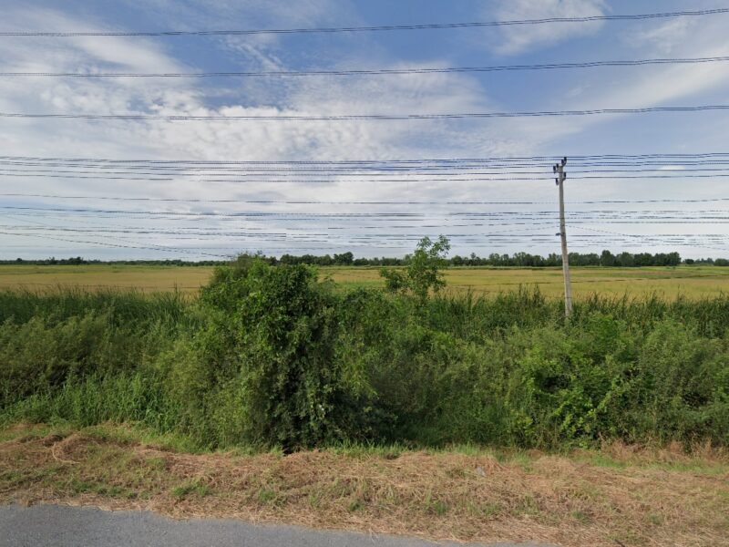 ✅ขายที่ดิน 76ไร่ พื้นที่สีม่วง หน้ากว้าง 330ม. ถนน340 บางบัวทอง-สุพรรณบุรี กม.51 ตำบล องครักษ์ อำเภอบางปลาม้า สุพรรณบุรี