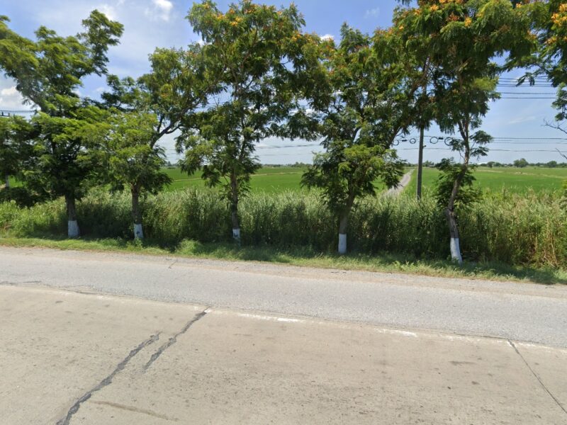 ✅ขายที่ดิน 76ไร่ พื้นที่สีม่วง หน้ากว้าง 330ม. ถนน340 บางบัวทอง-สุพรรณบุรี กม.51 ตำบล องครักษ์ อำเภอบางปลาม้า สุพรรณบุรี