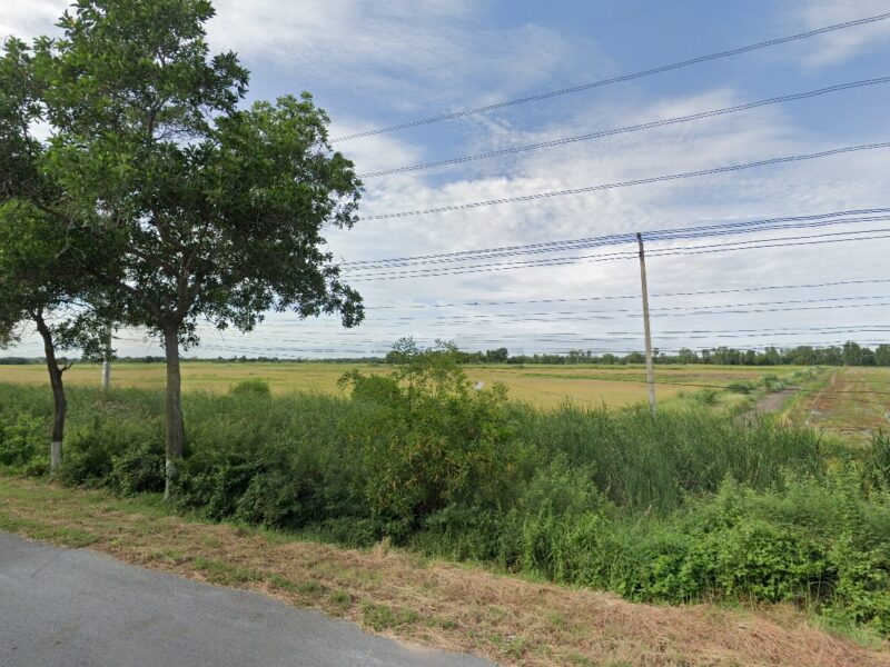 ✅ขายที่ดิน 76ไร่ พื้นที่สีม่วง หน้ากว้าง 330ม. ถนน340 บางบัวทอง-สุพรรณบุรี กม.51 ตำบล องครักษ์ อำเภอบางปลาม้า สุพรรณบุรี