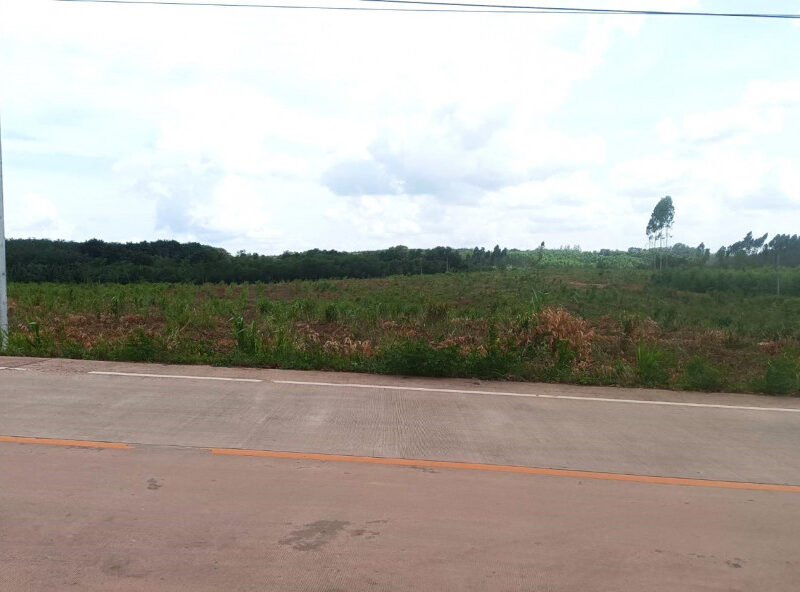 ขาย ที่ดิน ME393 EECม่วงลาย แปลงใหญ่ ห้างสูง หนองใหญ่ ชลบุรี . 156 ไร่ 1 งาน 47 ตรว ใกล้นิคมเอเชียคลีน ท่าเรือแหลมฉบัง ถนน 331 เพียง 9 Km.