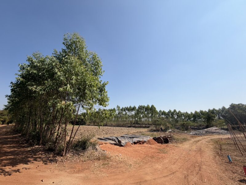 ที่ดินถูกปราจีนบุรี ใกล้เทศบาลกรอกสมบูรณ์ (หลังสนามไดร์ฟกอล์ฟ 304) |ไร่ล่ะ 140,000 บาท ( 51-2-3 ไร่.) ยกแปลง 7.2 ลบ. | ต.กรอกสมบูรณ์ อ.ศรีมหาโพธิ จ.ปราจีนบุรี