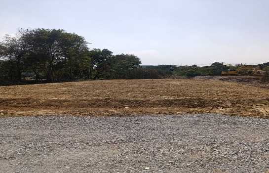 ขายที่ดินถมแล้ว ทำเลศาลายา-คลองโยง เหมาะสร้างบ้าน ใกล้ ม.มหิดล และศูนย์การค้า