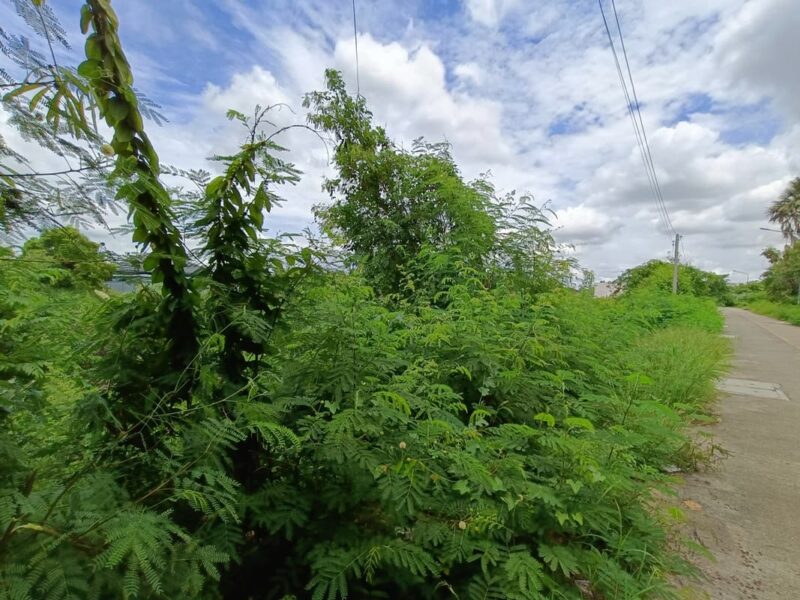 ที่ดินสุพรรณ ทำเลใจกลางเมืองหน้าแปลงติดถนน