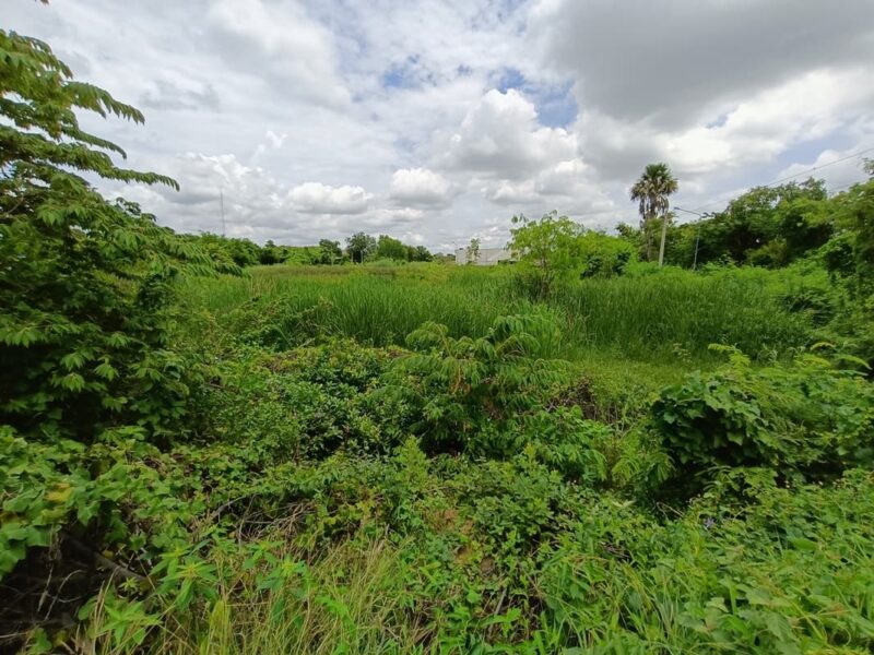 ที่ดินเปล่าสุพรรณ ทำเลใจกลางเมือง ราคาคุยกันก่อนได้