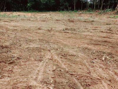 📌 ประกาศขายที่ดิน บ้านศรีดอนมูล อ.เชียงแสน จ.เชียงราย