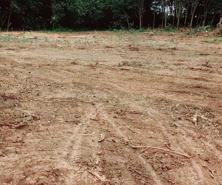 📌 ประกาศขายที่ดิน บ้านศรีดอนมูล อ.เชียงแสน จ.เชียงราย