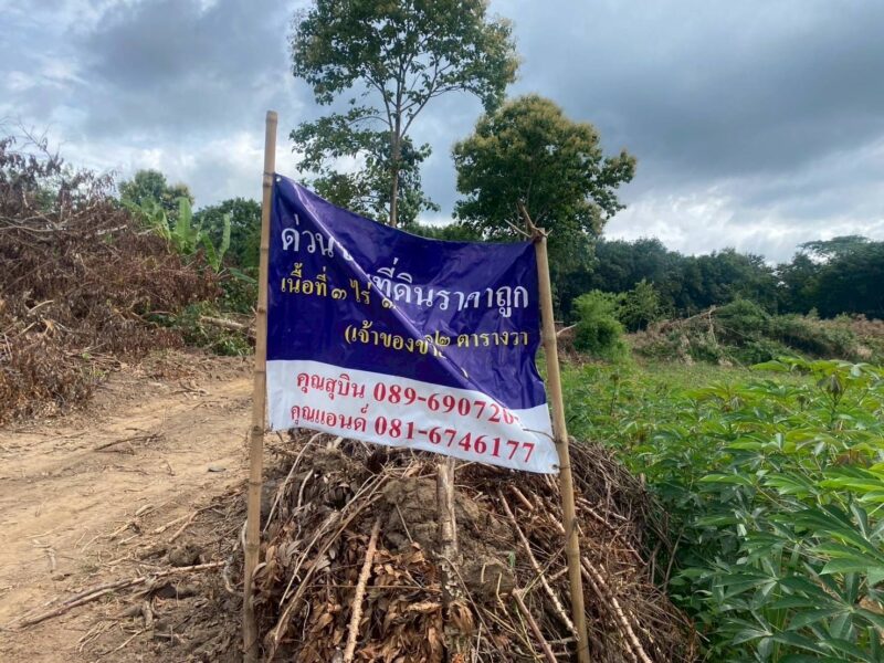 📌 ประกาศขายที่ดิน บ้านศรีดอนมูล อ.เชียงแสน จ.เชียงราย