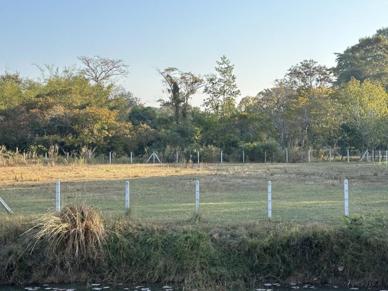 ขายที่ดินติดอ่างเก็บน้ำห้วยยาง บ้านหนองเทา ต.นาแก อ.คำเขื่อนแก้ว จ.ยโสธร