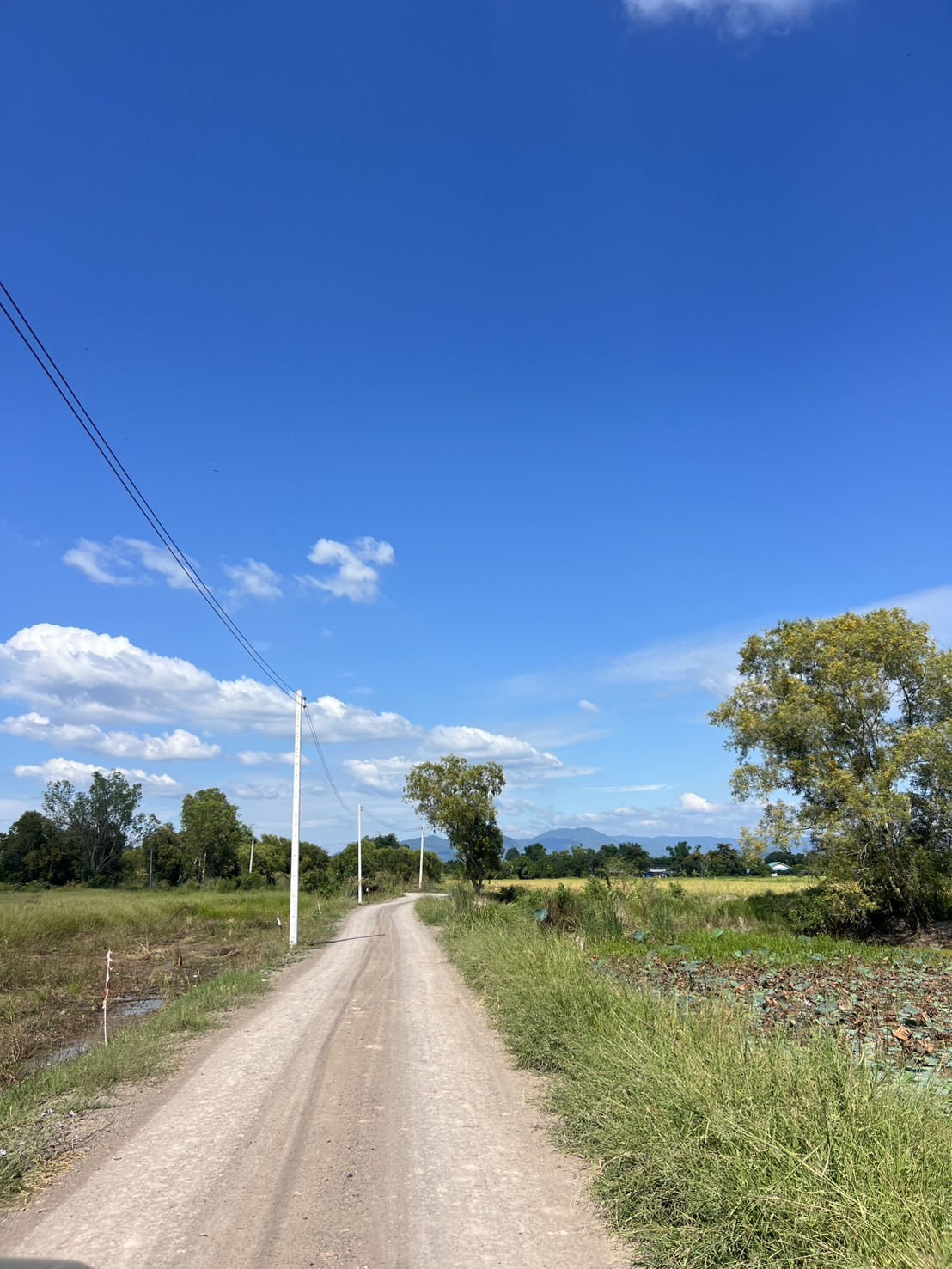 ขายที่ดินนครนายก ทำเลดี วิวเขา วิวทุ่งนา ต.อาษา อ.บ้านนา