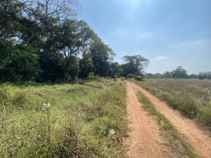 ขายที่ดินเปล่า 2 ไร่ 45 ตารางวา