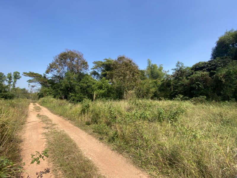 ขายที่ดินเปล่า 2 ไร่ 45 ตารางวา