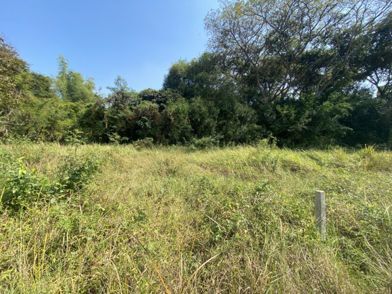 ขายที่ดินเปล่า 2 ไร่ 45 ตารางวา