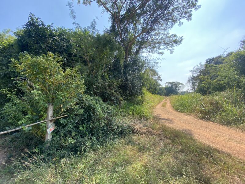 ขายที่ดินเปล่า 2 ไร่ 45 ตารางวา