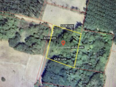 ขายที่ดินเปล่า 2 ไร่ 45 ตารางวา