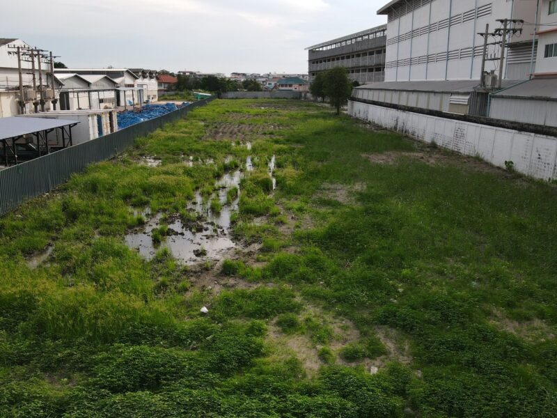 ขายที่ดินสีม่วงติดถนนบางขุนเทียนชายทะเล