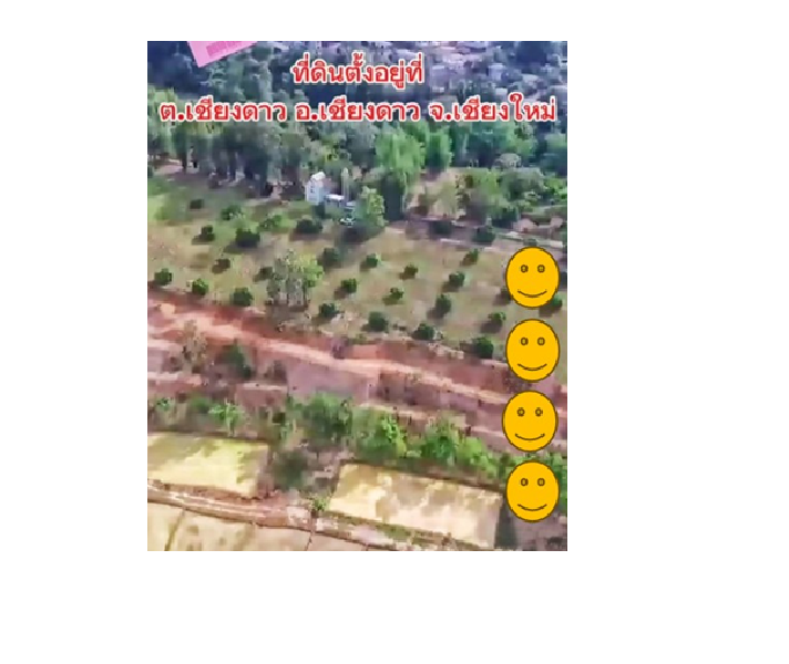 ขายด่วนที่ดิน เชียงดาว ทำเลนี้ ที่ดินแปลงนี้ราคาถูกสุดๆ