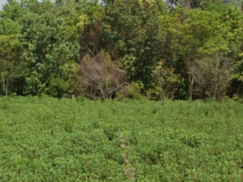 ขายด่วนที่ดินเปล่าวิวเขา จังหวัดปราจีนบุรี สนใจติดต่อ 0661120133