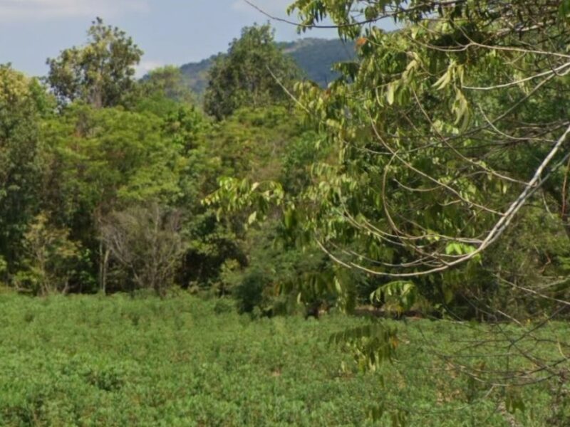 ขายด่วนที่ดินเปล่าวิวเขา จังหวัดปราจีนบุรี สนใจติดต่อ 0661120133