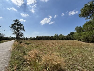 ขายที่ดิน 13 ไร่ 63 ตร.ว. บ้านนา นครนายก ถนนสุวรรณศร ยกแปลก หรือแบ่งก็ได้ โทร 089-7411750