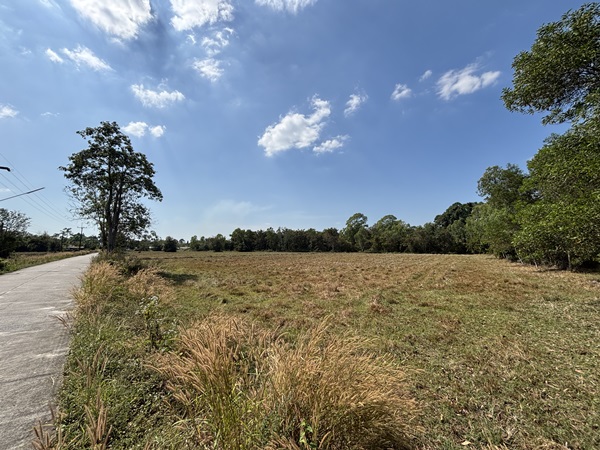 ขายที่ดิน 13 ไร่ 63 ตารางวา นครนายก ถนนสุวรรณศร หมู่ที่9 ต.ป่าขะ อ.บ้านนา โทร 089-7411750