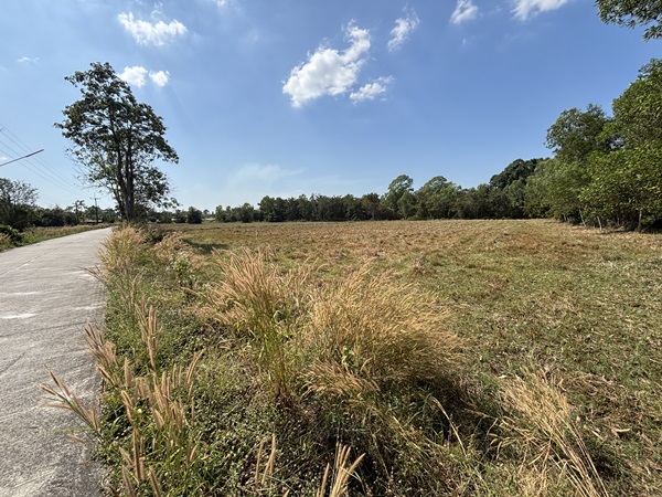 ขายที่ดิน 13 ไร่ 63 ตารางวา นครนายก ถนนสุวรรณศร หมู่ที่9 ต.ป่าขะ อ.บ้านนา โทร 089-7411750