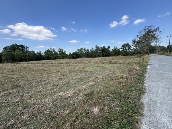 ขายที่ดิน 13 ไร่ 63 ตารางวา นครนายก ถนนสุวรรณศร หมู่ที่9 ต.ป่าขะ อ.บ้านนา โทร 089-7411750