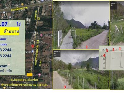 ที่ดิน 4 ไร่ กลางดง ปากช่อง