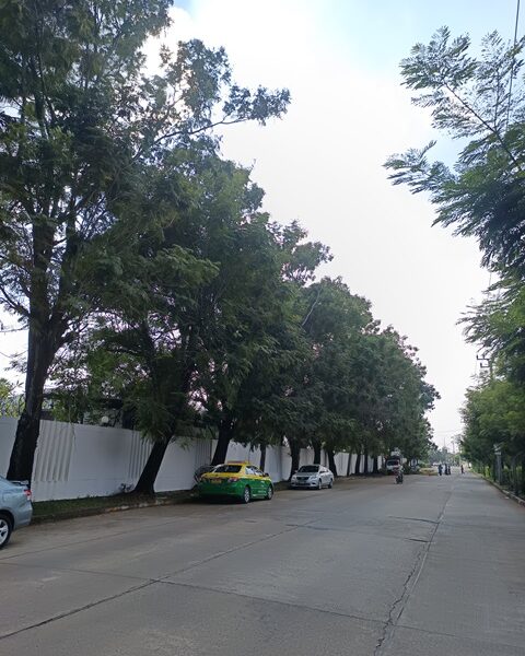 ขายที่ดินใกล้ถนนสุขาภิบาล 5 ซอย82