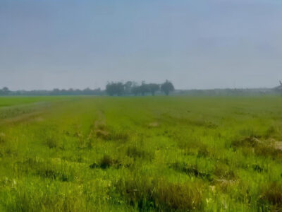 ขายที่ดิน 26-2-81 ไร่ ใกล้หมู่บ้านอมรทรัพย์ และมหาวิทยาลัยเทคโนโลยีมหานคร